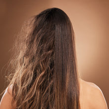 Load image into Gallery viewer, Green Coffee Seed Oil