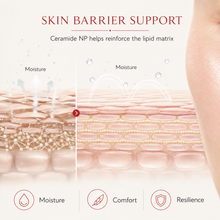 Load image into Gallery viewer, Ceramide NP Powder (Ceramide 3) – Cosmetic Ingredient