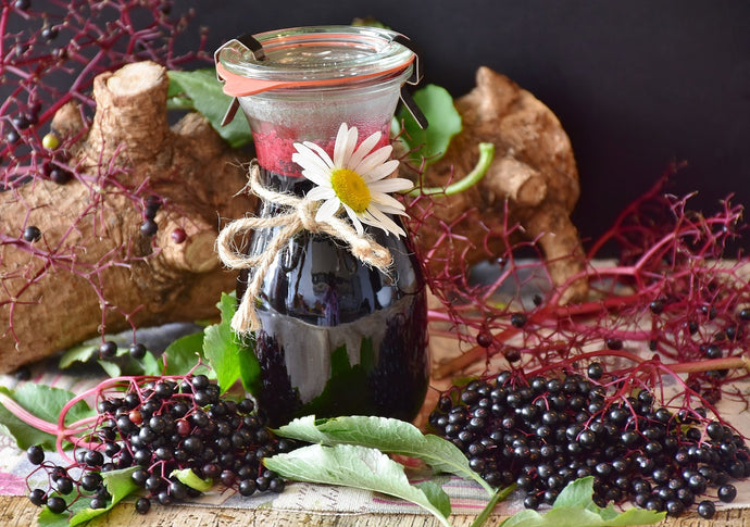 Benefits of Elderberry Seed Oil to Skin