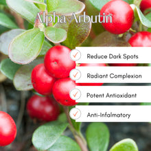 Load image into Gallery viewer, Alpha Arbutin – Cosmetic Grade Powder for DIY Skin Care Products
